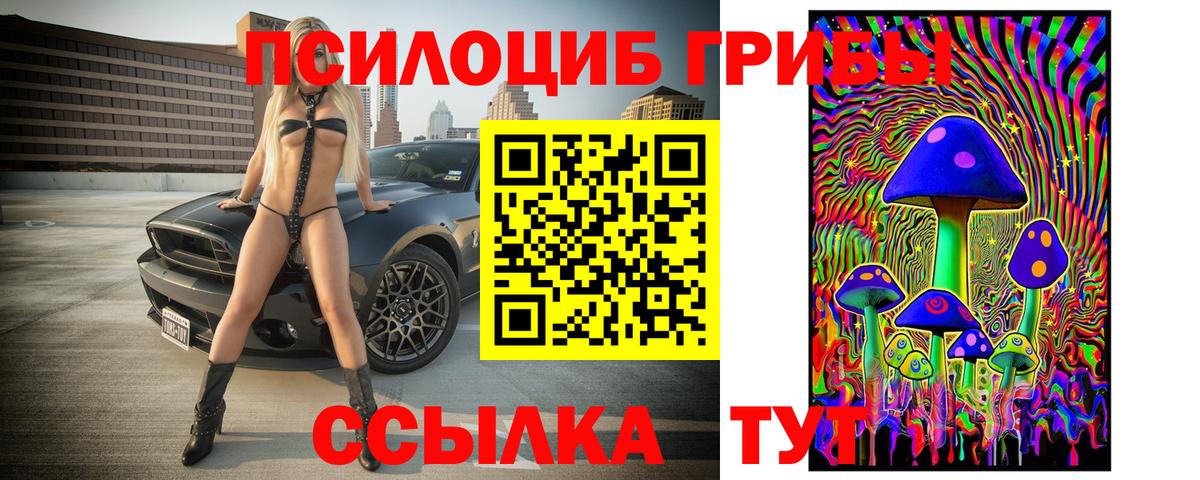 Галлюциногенные грибы Psilocybe Вольск